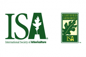 What is an ISA Certified Arborist? - Clean Cut Tree & Landscape