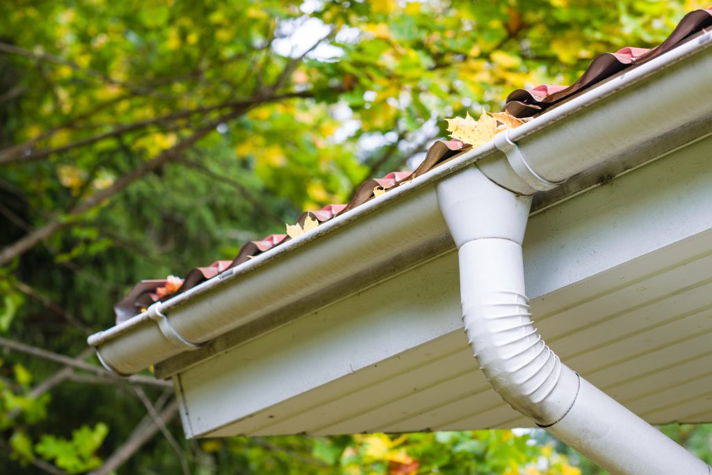 Overgrown trees filling gutters at a residential home.