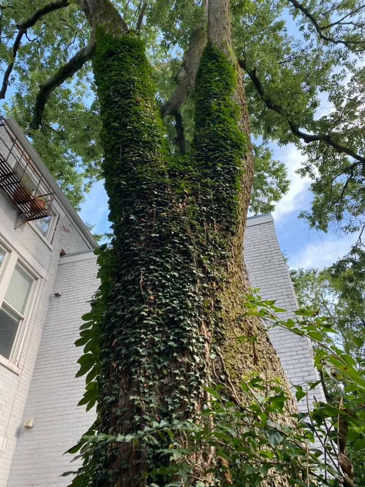 219074835_381774493286527_8213213659139114663_n