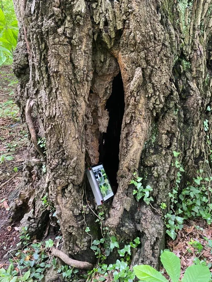 219083376_381771759953467_6081175125659141690_n