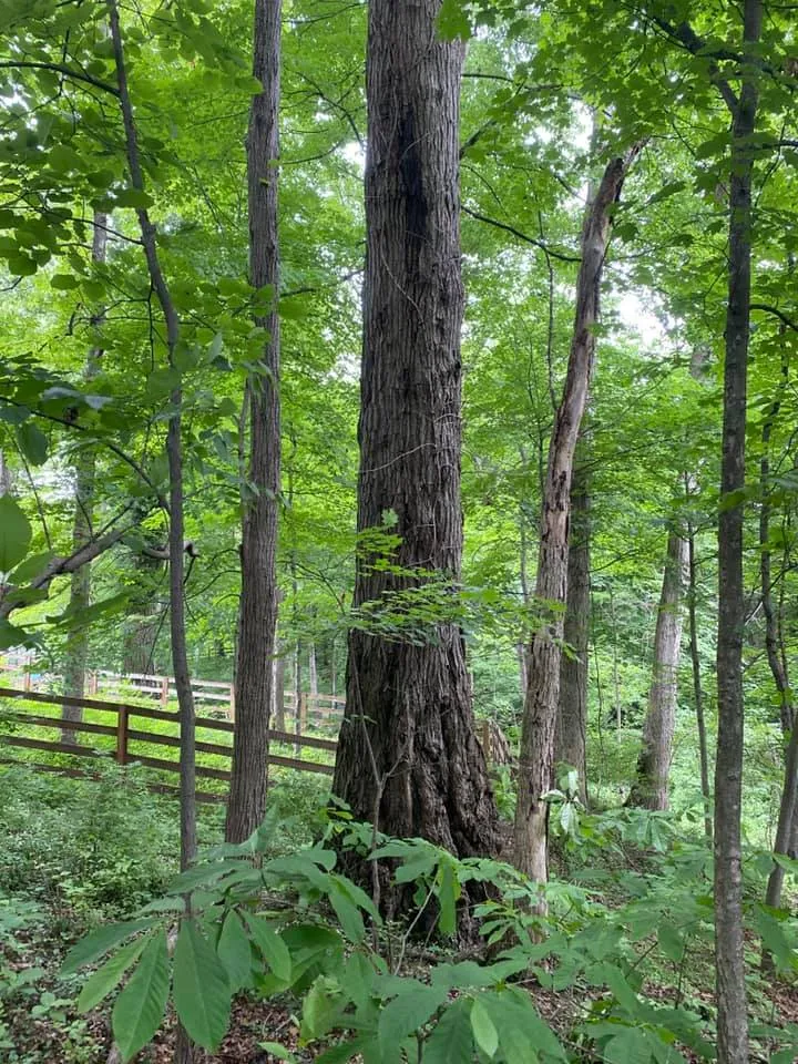 219711970_381771746620135_6523496016606727823_n