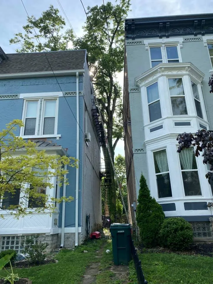 219794089_381774366619873_1783302368690812214_n