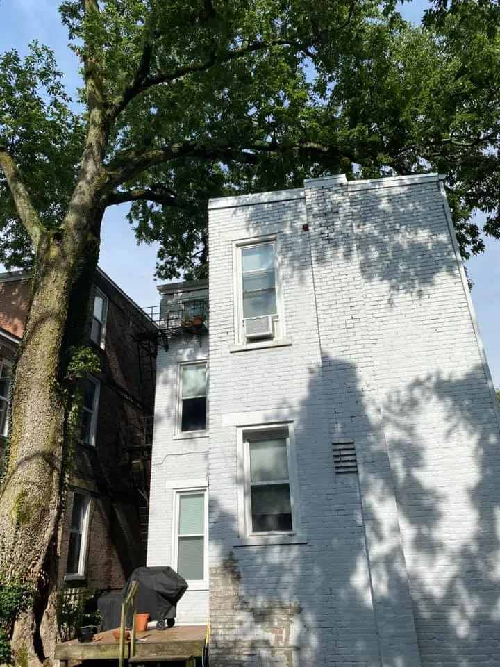 220209607_381774459953197_9014212356273036106_n