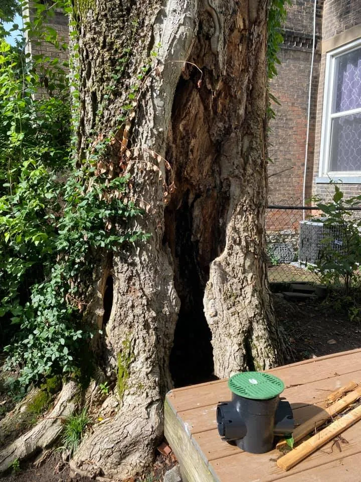 220283391_381774393286537_4339488344953508676_n