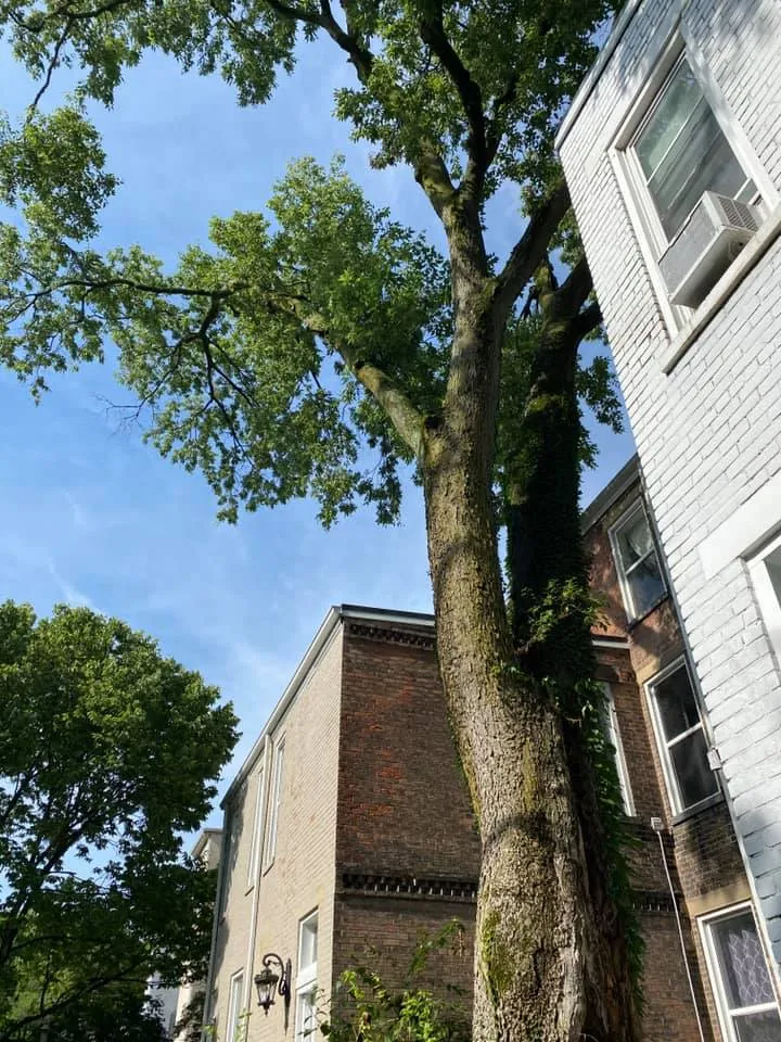 220343155_381774549953188_2604908060225743266_n