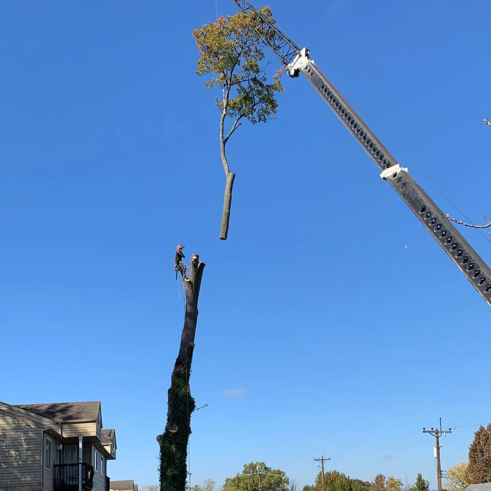 304070918_451624680341969_4507139708453543364_n