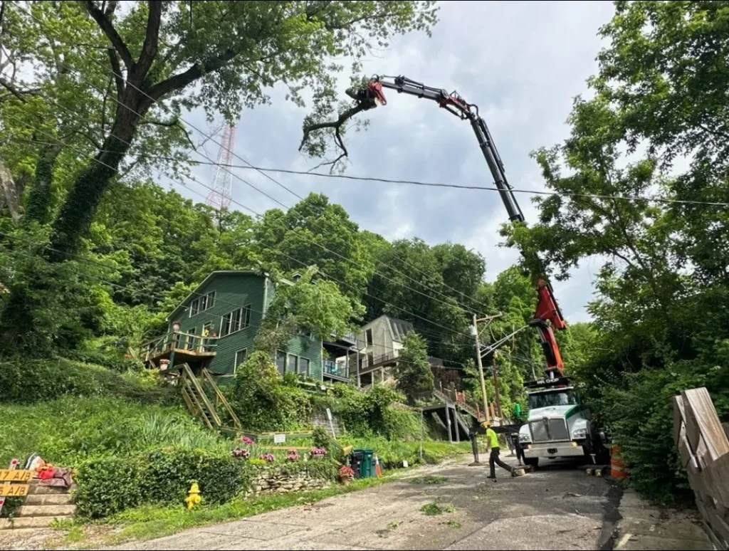 Screenshot_20240809_113605_Messages