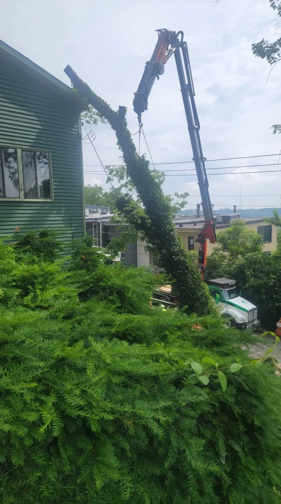 Screenshot_20240809_114157_Gallery