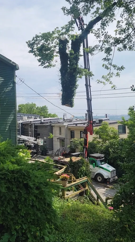 Screenshot_20240809_114307_Gallery