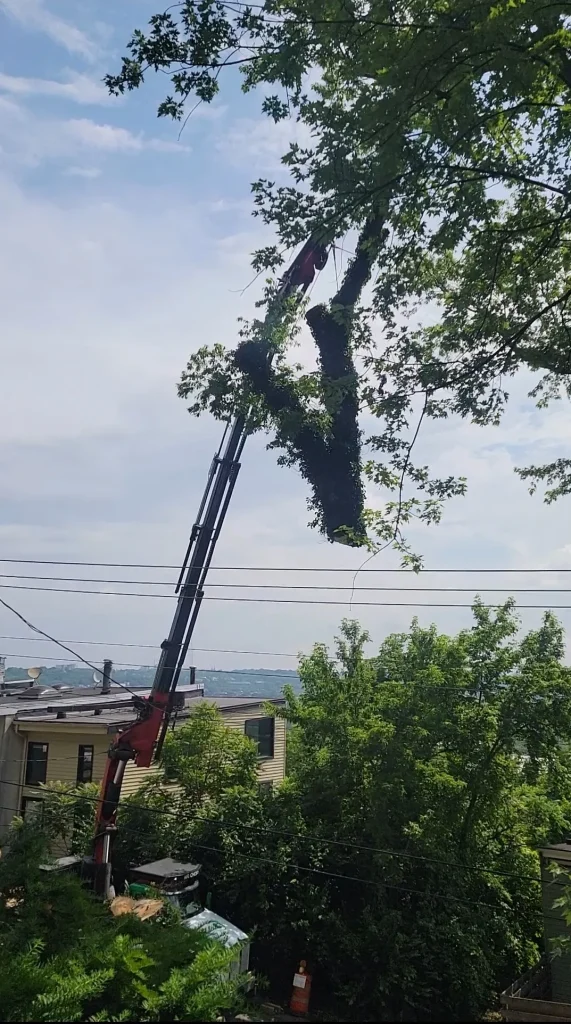 Screenshot_20240809_114403_Gallery